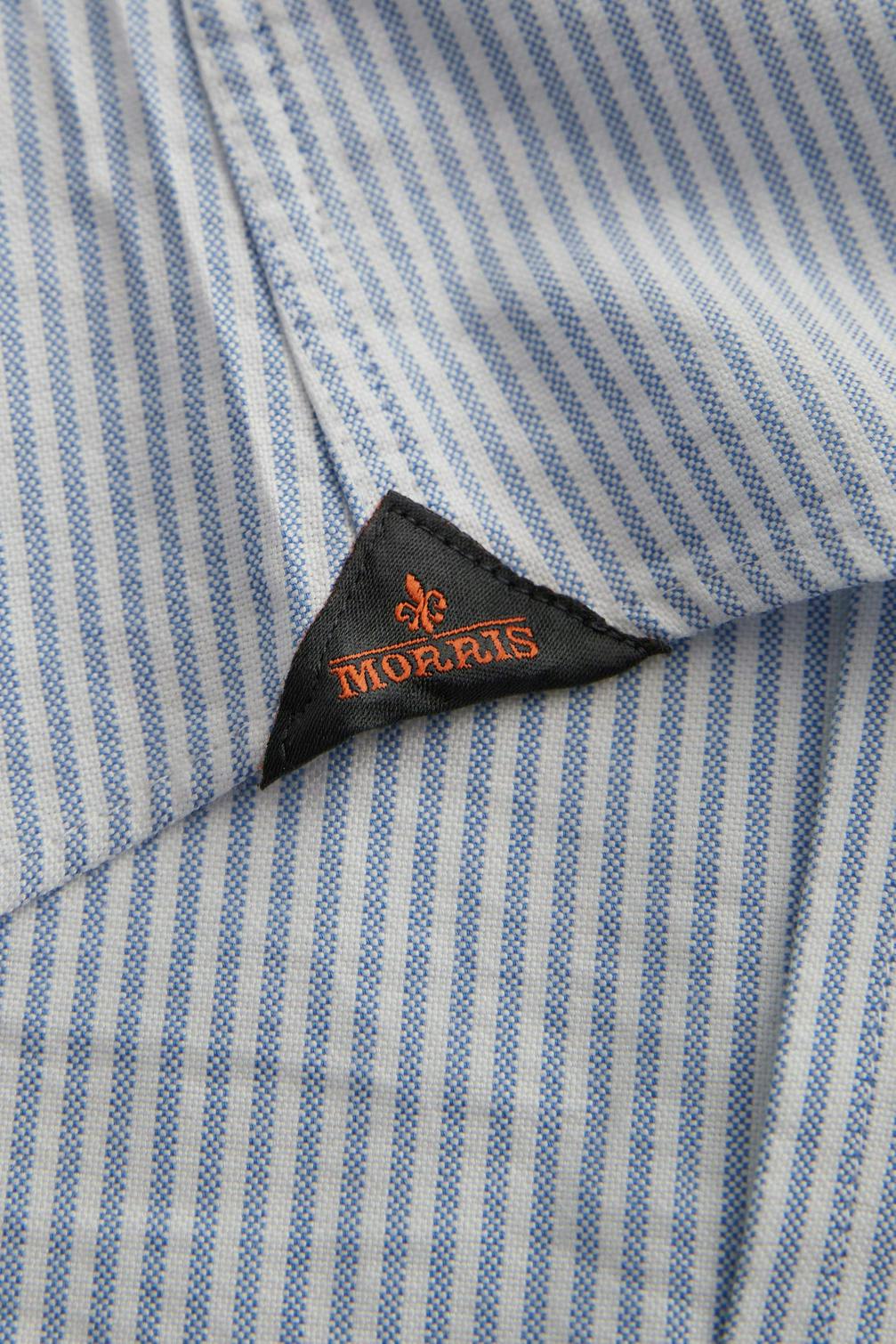 Oxford Striped BD Shirt